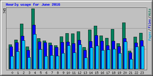 Hourly usage for June 2016