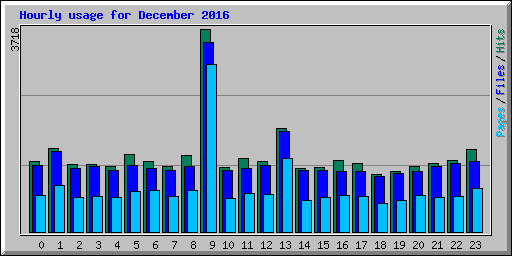 Hourly usage for December 2016