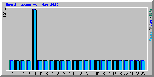 Hourly usage for May 2019