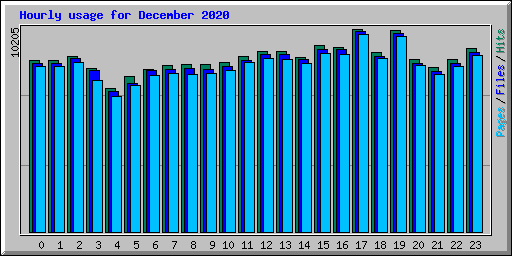 Hourly usage for December 2020