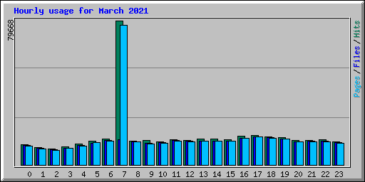 Hourly usage for March 2021