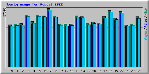 Hourly usage for August 2022