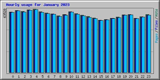 Hourly usage for January 2023