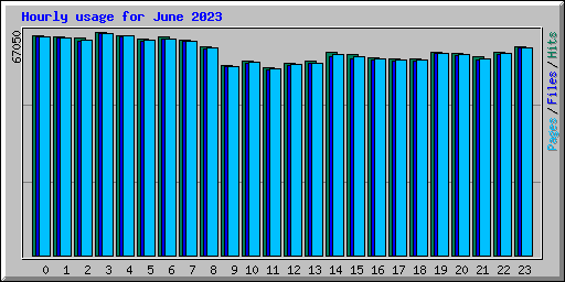Hourly usage for June 2023