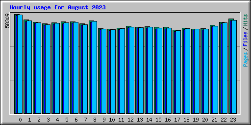 Hourly usage for August 2023