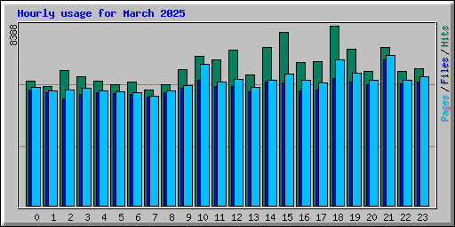 Hourly usage for March 2025