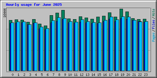 Hourly usage for June 2025