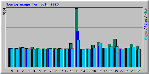 Hourly usage for July 2025