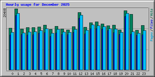 Hourly usage for December 2025