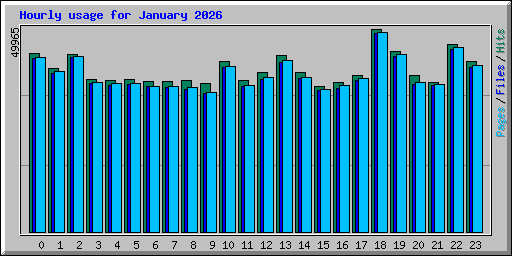 Hourly usage for January 2026