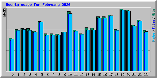 Hourly usage for February 2026