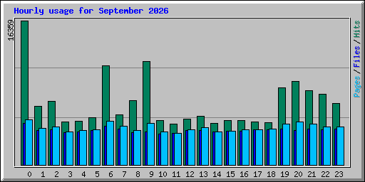 Hourly usage for September 2026