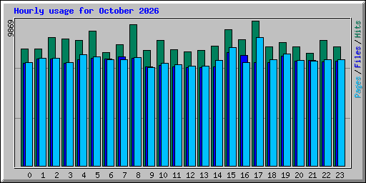 Hourly usage for October 2026